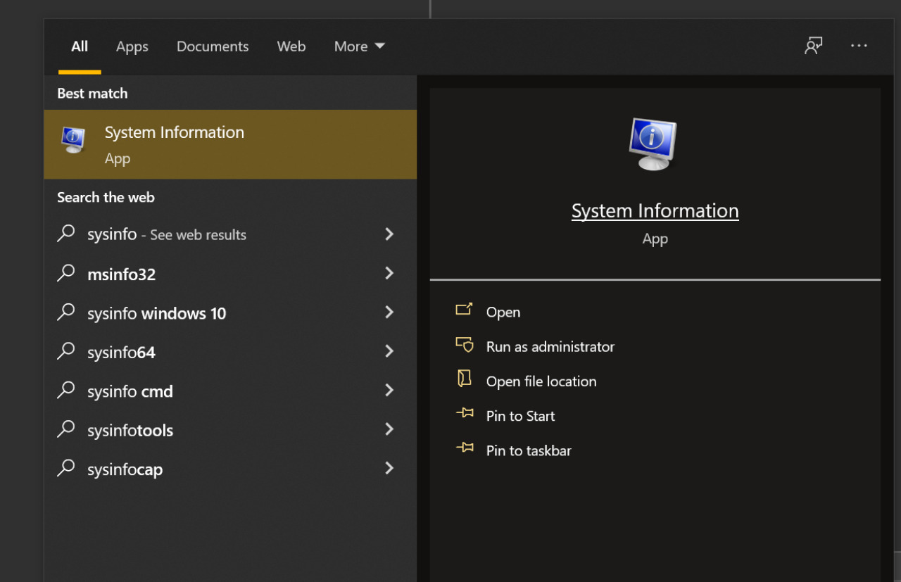 System Information nella barra di ricerca Windows